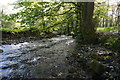 Looking downstream on the Glazebrook