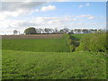 View across the head of Worm Dale