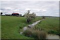 Dike on Blue House Farm