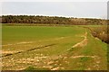 A field by the wood on Worton Heath