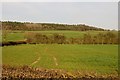 A field opposite Burleigh Farm