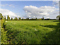 Fields south of Harvey Lane