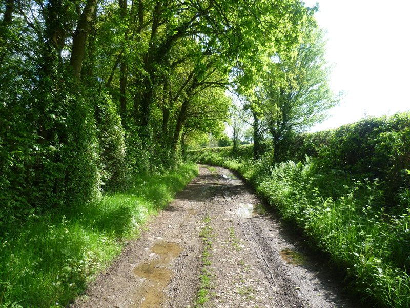 Following A Green Lane Towards Bore © Marathon Geograph Britain