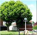 Rougham village sign