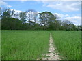 Footpath crossing a field near Bough Beech