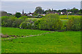 Malvern Hills District : Grassy Field