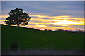 Malvern Hills District : Grassy Field