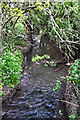 Malvern Hills District : Laugherne Brook