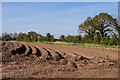 Field near Moor Side