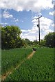 Footpath on Grange Road