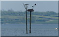 SK8805 : Osprey and nest in Manton Bay by Mat Fascione