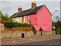 Houses by Alton Station