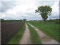 Bridleway near Park Farm