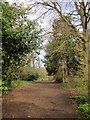 Severn Way, Penpole Wood