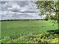 Farmland on Barton Moss