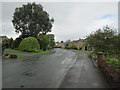 Ash Hill Drive - viewed from Strickland Avenue