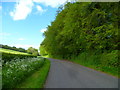 Tree lined road on the way to Lasham