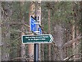NH9315 : Signpost, Croftmore by Richard Webb