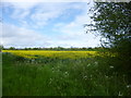 Desborough, rape field