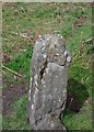 Stone near Hawthorn Hill