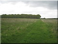 Footpath to Everingham