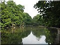 Lake in Endcliffe Park, Sheffield