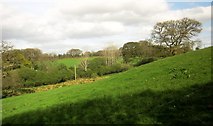 SX7483 : Countryside near Luckdon by Derek Harper