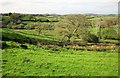 Spring countryside, Aller