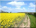 Footpath off Dungrovehill Lane