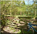 Gate to Gouldings Wood