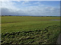 Farmland near Greenhowe Farm