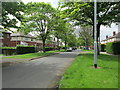 Woodhouse Road - viewed from Greenwood Road