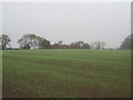 TA1735 : Roehill  Farm  (ruin) by Martin Dawes
