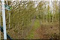 Footpath to Piddington