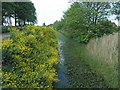 Drain at North Cotes airfield site