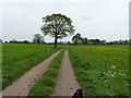 Heading for Longnor Hall and farm