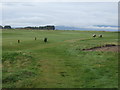 Royal Dornoch Golf Course