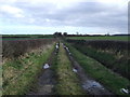 Farm track off Liverton Road