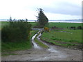 Farm track, Eaglefield