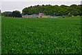 SO8955 : Wychavon : Grassy Field by Lewis Clarke