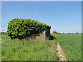 WW2 pillbox at Hopton