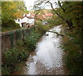 Fallen branch across the River Frome, Frenchay