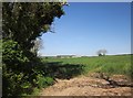 Farmland near Alston