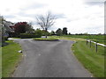 Roundabout with Tree