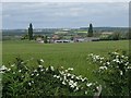 Farmland near Spion Cop