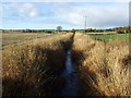 Drain, Udny Bridge