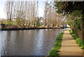 Grand Union Canal and Walk