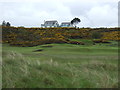 Royal Dornoch Golf Course