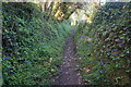 Bridleway down to Hangar Mill