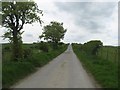 Single track road heading away from West Boonraw